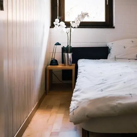 Cozy Family Friendly Stylish I View To Jungfrau & Maennlichen I