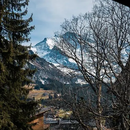 Cozy Family Friendly Stylish I View To Jungfrau & Maennlichen I * Wengen