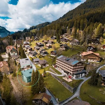 Cozy Family Friendly Stylish I View To Jungfrau & Maennlichen I Apartament Wengen