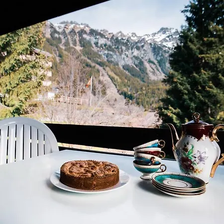 公寓 Cozy Family Friendly Stylish I View To Jungfrau & Maennlichen I 翁根