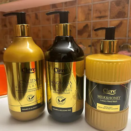 Daire Cozy Family Friendly Stylish I View To Jungfrau & Maennlichen I Wengen