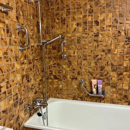 Cozy Family Friendly Stylish I View To Jungfrau & Maennlichen I Daire