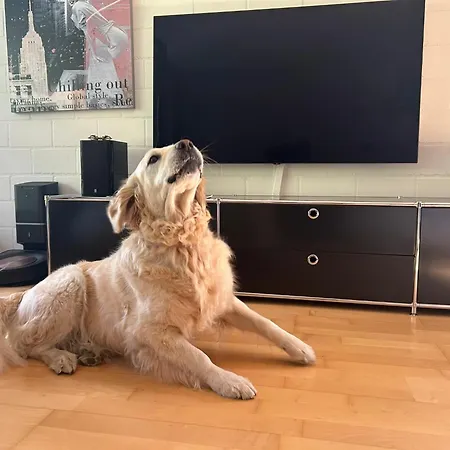 Cozy Family Friendly Stylish I View To Jungfrau & Maennlichen I Apartament