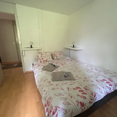Cozy Family Friendly Stylish I View To Jungfrau & Maennlichen I 翁根