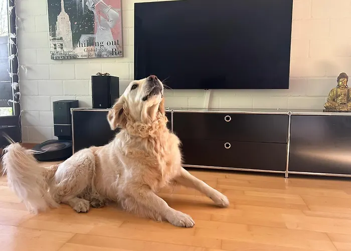 Cozy Family Friendly Stylish I View To Jungfrau & Maennlichen I Apartment