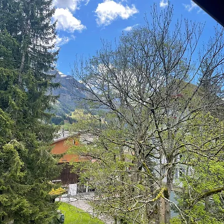 Cozy Family Friendly Stylish I View To Jungfrau & Maennlichen I דירה *