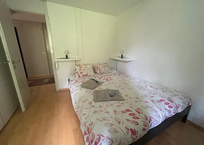 Cozy Family Friendly Stylish I View To Jungfrau & Maennlichen I וונגן