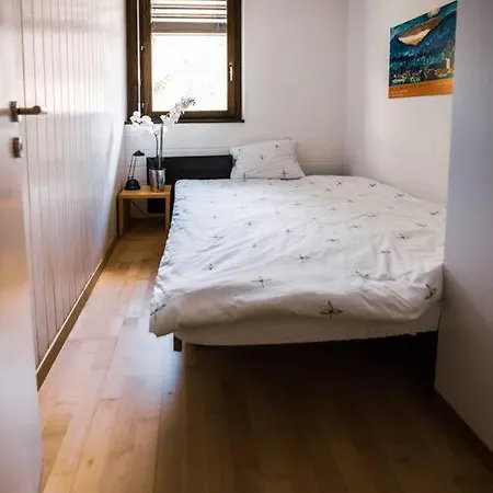 Central Cozy Family Friendly Stylish Apartment I View To Jungfrau & Maennlichen I Wengen * Wengen