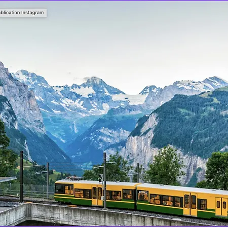 Central Cozy Family Friendly Stylish Apartment I View To Jungfrau & Maennlichen I Wengen Apartment *